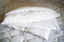 Load image into Gallery viewer, Modular Pillow
